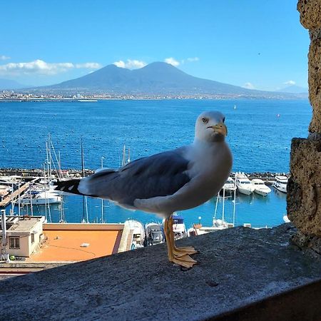 Апартаменти Domus Napoli Екстер'єр фото